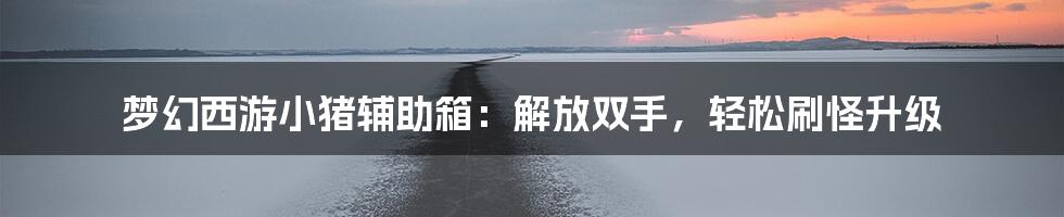 梦幻西游小猪辅助箱：解放双手，轻松刷怪升级