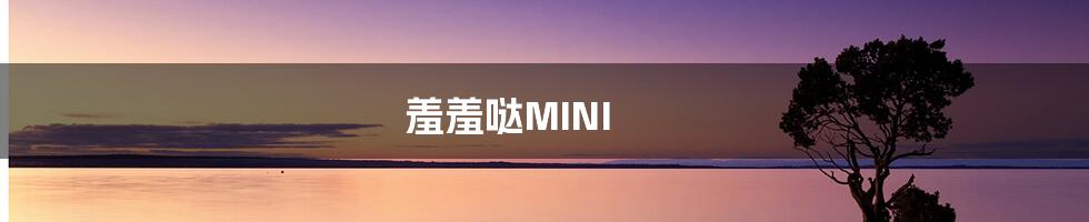 羞羞哒MINI