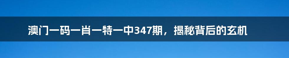 澳门一码一肖一特一中347期，揭秘背后的玄机