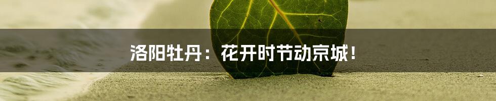 洛阳牡丹：花开时节动京城！