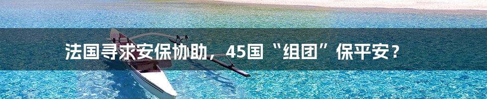 法国寻求安保协助，45国“组团”保平安？