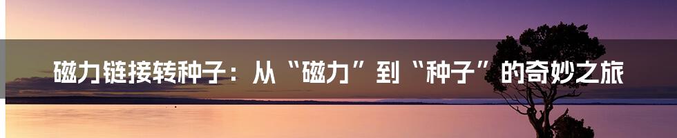 磁力链接转种子：从“磁力”到“种子”的奇妙之旅