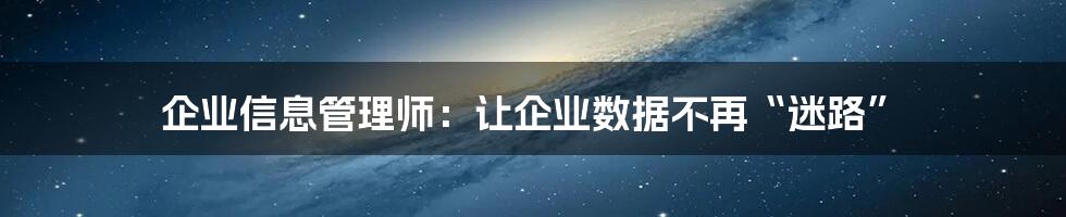 企业信息管理师：让企业数据不再“迷路”