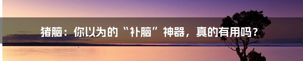 猪脑：你以为的“补脑”神器，真的有用吗？