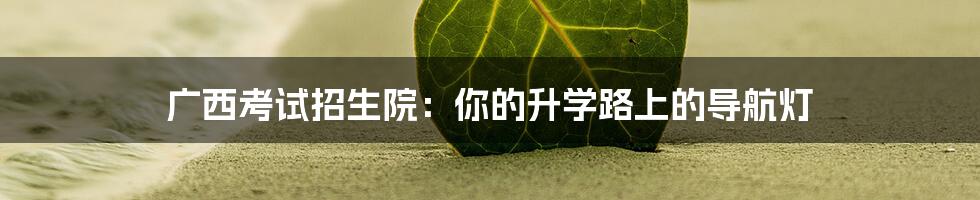 广西考试招生院：你的升学路上的导航灯