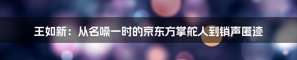 王如新：从名噪一时的京东方掌舵人到销声匿迹