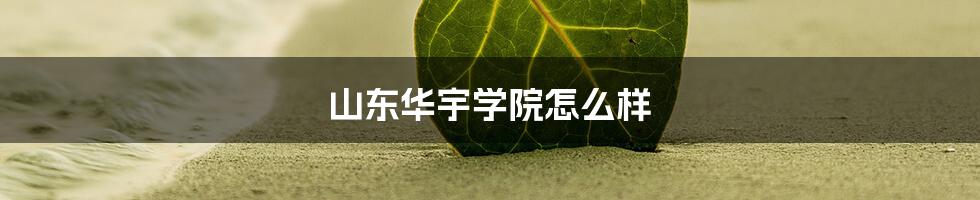 山东华宇学院怎么样