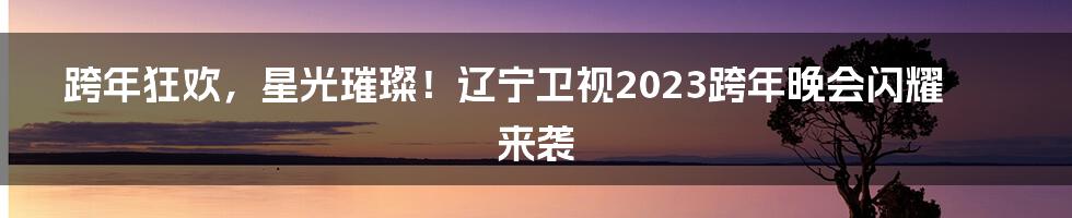 跨年狂欢，星光璀璨！辽宁卫视2023跨年晚会闪耀来袭