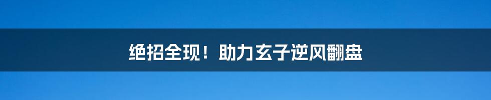 绝招全现！助力玄子逆风翻盘