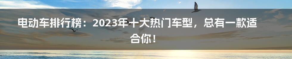 电动车排行榜：2023年十大热门车型，总有一款适合你！