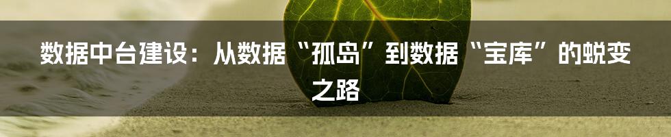 数据中台建设：从数据“孤岛”到数据“宝库”的蜕变之路