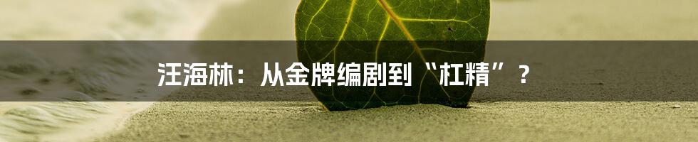 汪海林：从金牌编剧到“杠精”？