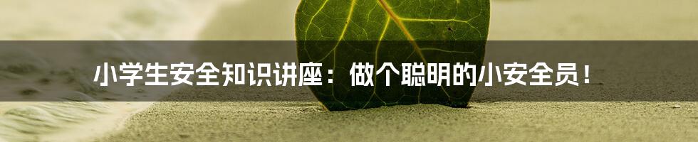 小学生安全知识讲座：做个聪明的小安全员！