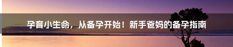 孕育小生命，从备孕开始！新手爸妈的备孕指南