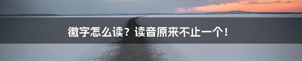 徽字怎么读？读音原来不止一个！