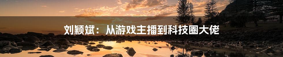 刘颖斌：从游戏主播到科技圈大佬