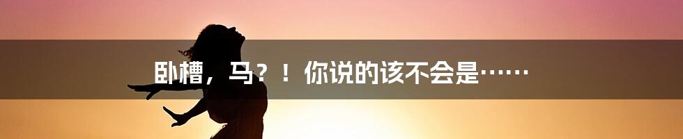 卧槽，马？！你说的该不会是……