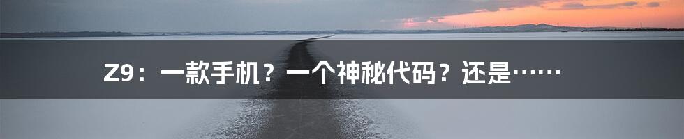 Z9：一款手机？一个神秘代码？还是……