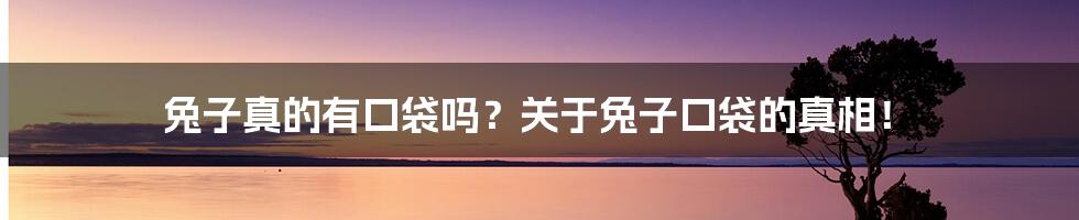 兔子真的有口袋吗？关于兔子口袋的真相！