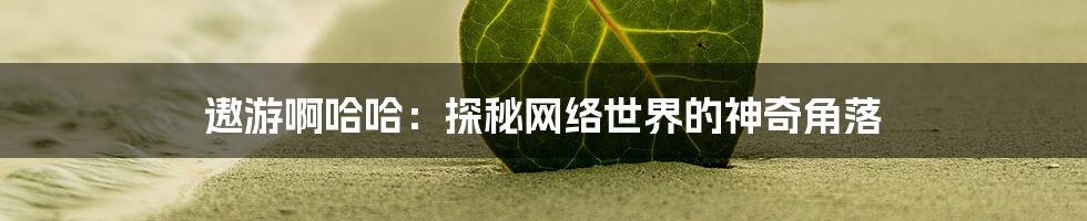 遨游啊哈哈：探秘网络世界的神奇角落