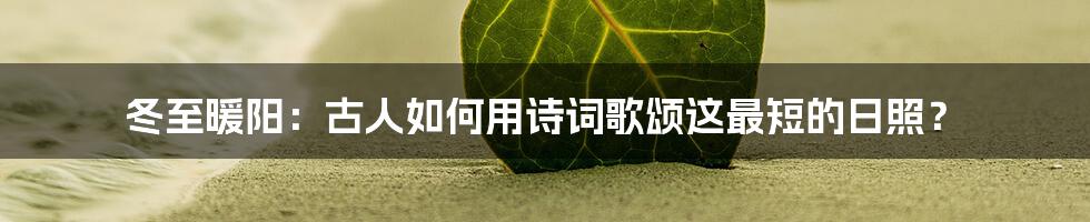 冬至暖阳：古人如何用诗词歌颂这最短的日照？