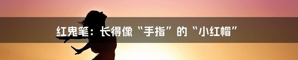 红鬼笔：长得像“手指”的“小红帽”