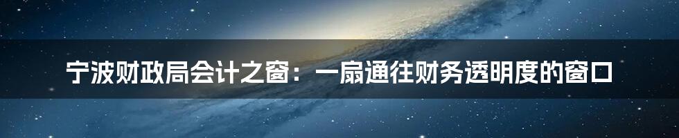 宁波财政局会计之窗：一扇通往财务透明度的窗口