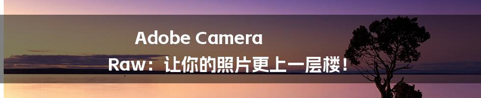 Adobe Camera Raw：让你的照片更上一层楼！