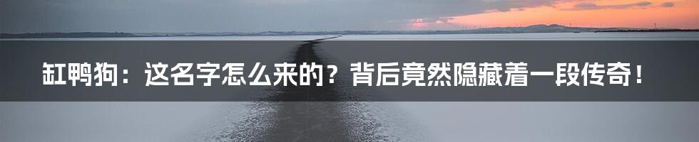 缸鸭狗：这名字怎么来的？背后竟然隐藏着一段传奇！