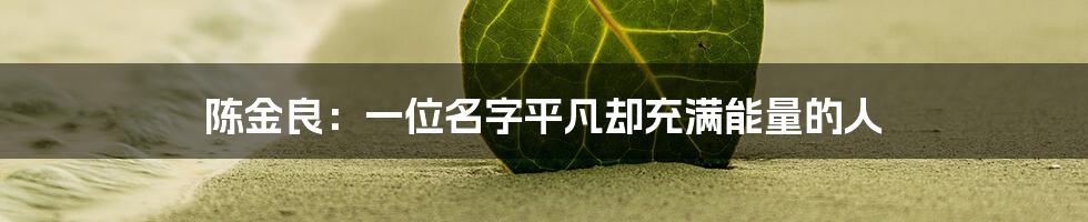 陈金良：一位名字平凡却充满能量的人