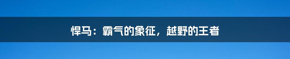 悍马：霸气的象征，越野的王者