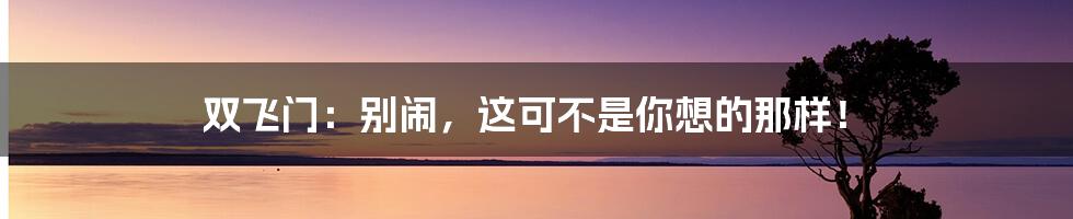 双飞门：别闹，这可不是你想的那样！