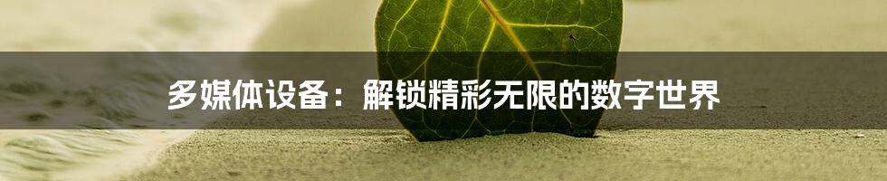 多媒体设备：解锁精彩无限的数字世界