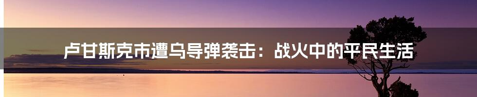 卢甘斯克市遭乌导弹袭击：战火中的平民生活