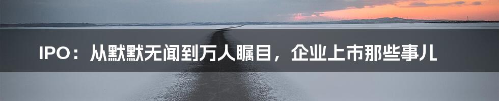 IPO：从默默无闻到万人瞩目，企业上市那些事儿