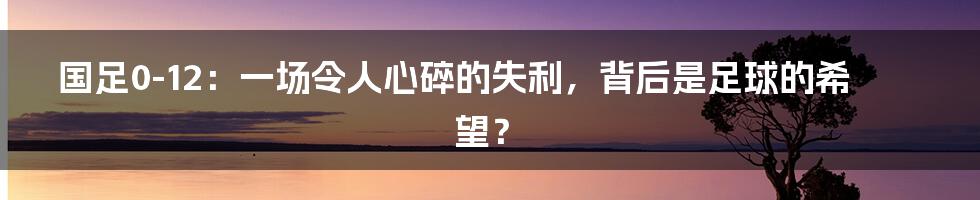 国足0-12：一场令人心碎的失利，背后是足球的希望？