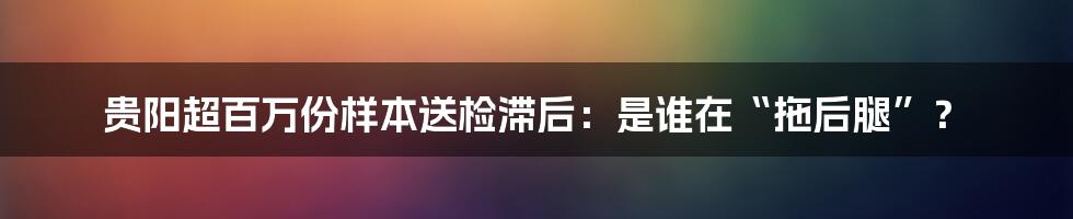 贵阳超百万份样本送检滞后：是谁在“拖后腿”？