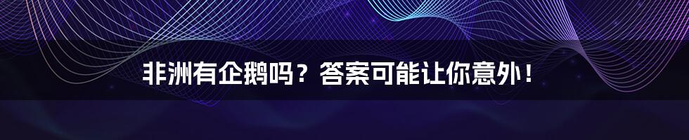 非洲有企鹅吗？答案可能让你意外！