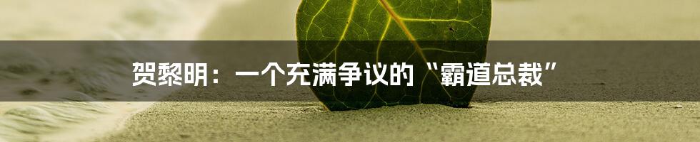 贺黎明：一个充满争议的“霸道总裁”