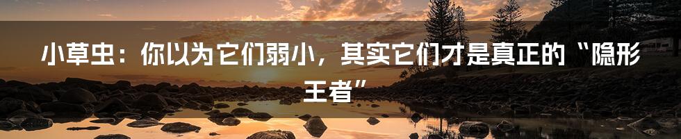 小草虫：你以为它们弱小，其实它们才是真正的“隐形王者”