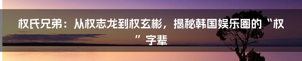 权氏兄弟：从权志龙到权玄彬，揭秘韩国娱乐圈的“权”字辈