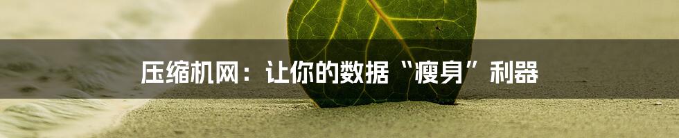 压缩机网：让你的数据“瘦身”利器