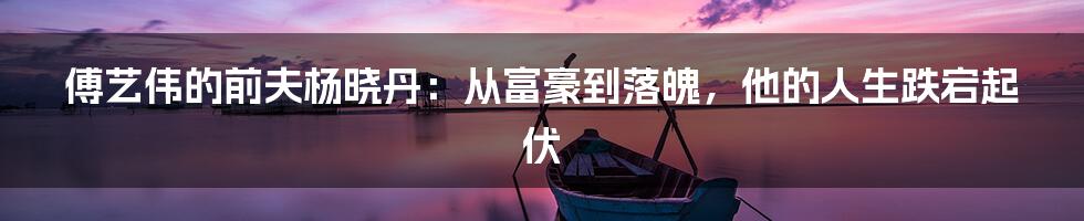 傅艺伟的前夫杨晓丹：从富豪到落魄，他的人生跌宕起伏