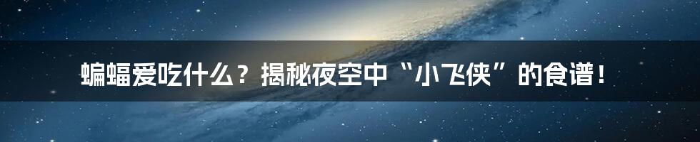 蝙蝠爱吃什么？揭秘夜空中“小飞侠”的食谱！