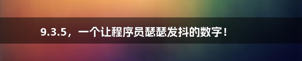 9.3.5，一个让程序员瑟瑟发抖的数字！