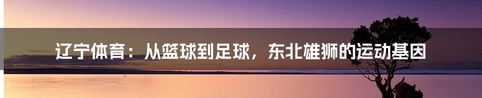 辽宁体育：从篮球到足球，东北雄狮的运动基因