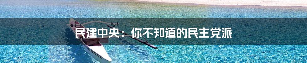 民建中央：你不知道的民主党派