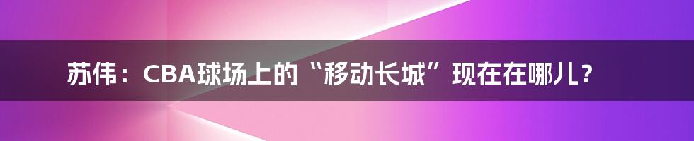 苏伟：CBA球场上的“移动长城”现在在哪儿？