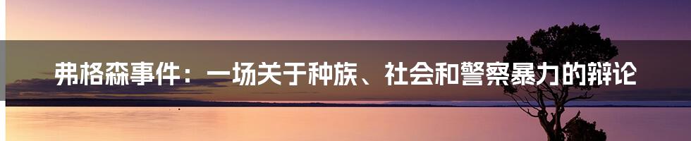 弗格森事件：一场关于种族、社会和警察暴力的辩论