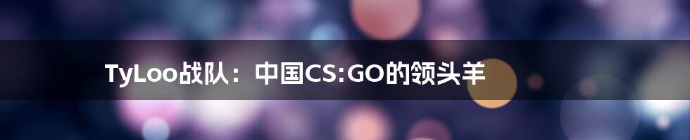 TyLoo战队：中国CS:GO的领头羊